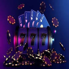 568pg bet