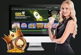 568pg bet